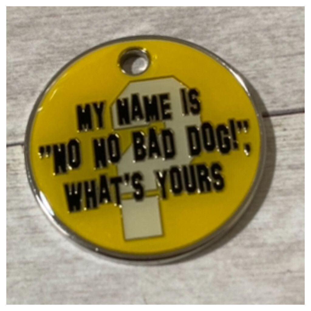 My Name Is No No Bad Dog Design