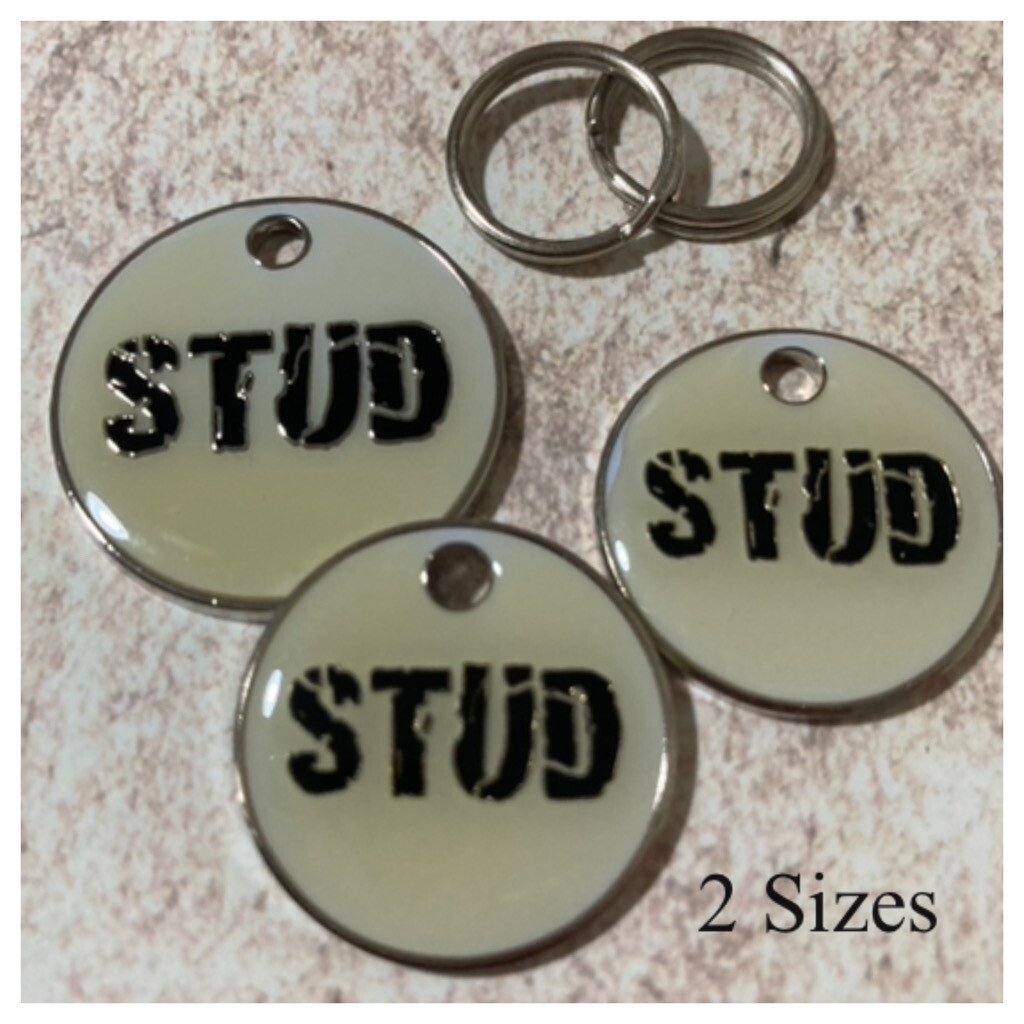 STUD Aged Shabby Look Enamel Tag - 2 Sizes