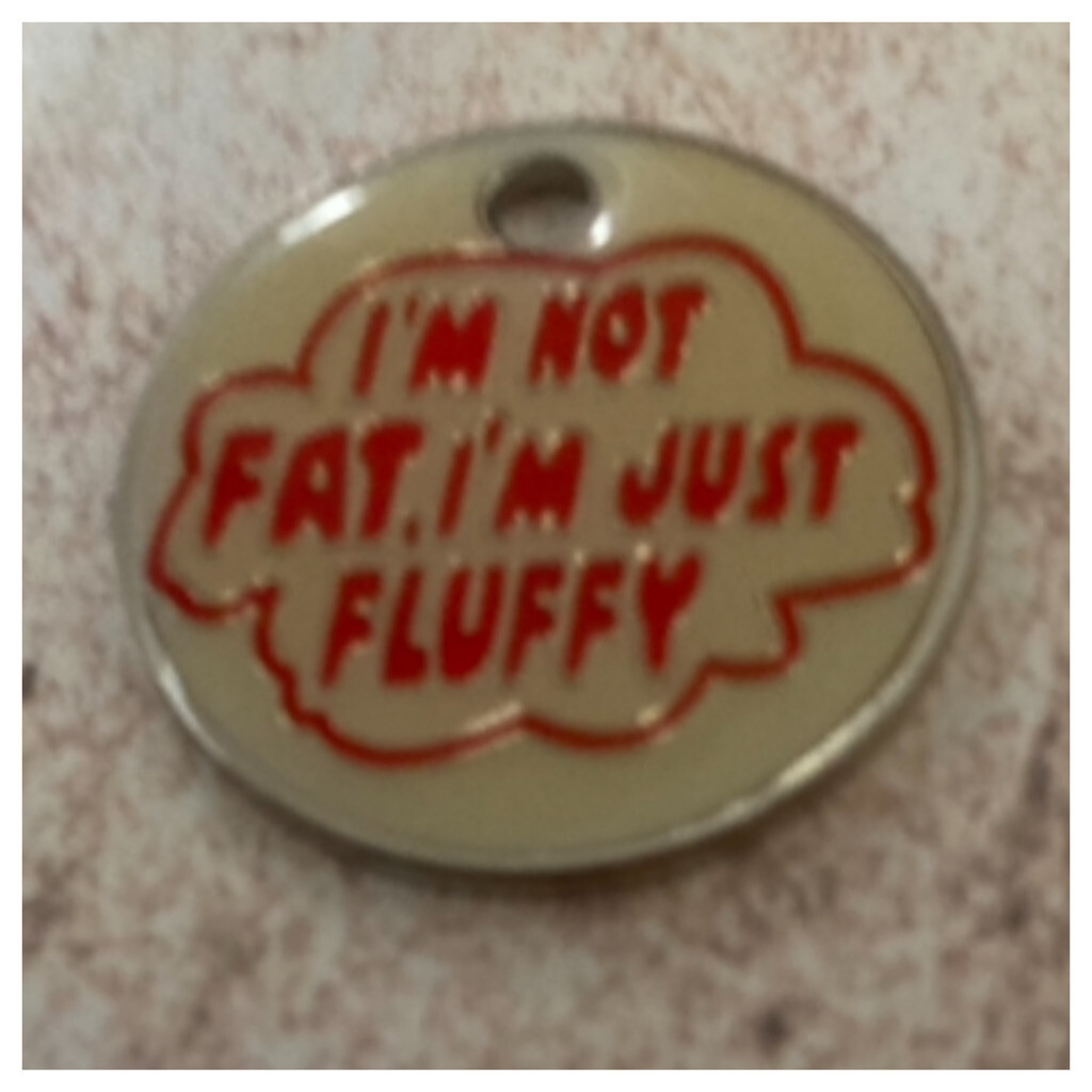 I’m Not Fat I’m Just Fluffy Design