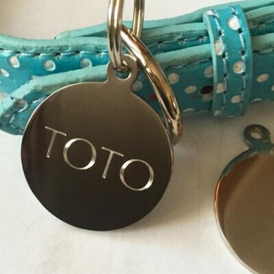 Polished & Tough Stainless Steel - Buy 2 Get 1 Free