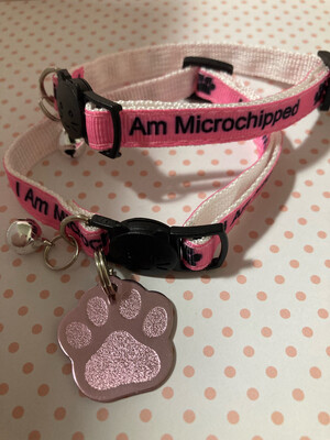 I am microchipped Tag &amp; Collar Combo