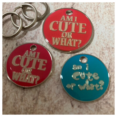 Am I Cute 2 Sizes