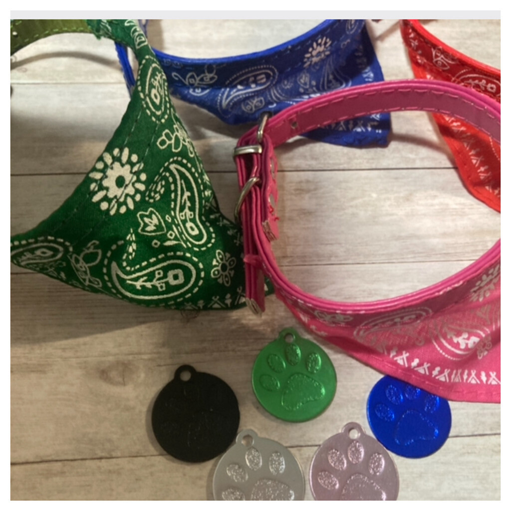 Tiny Puppy Bandana Starter Collar/Tag Combo