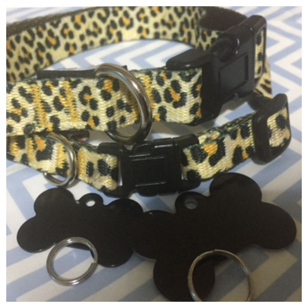 Medium - Large Dog Collar/Tag Combo Leopard Print 2 Sizes
