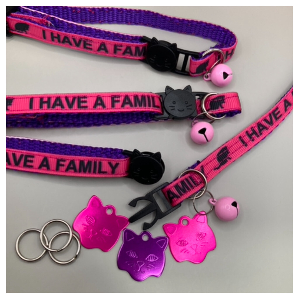 I HAVE A FAMILY PACK Design £10.99 - 3 Safety Collars &amp; 3 Cat tags - Handmade in the UK