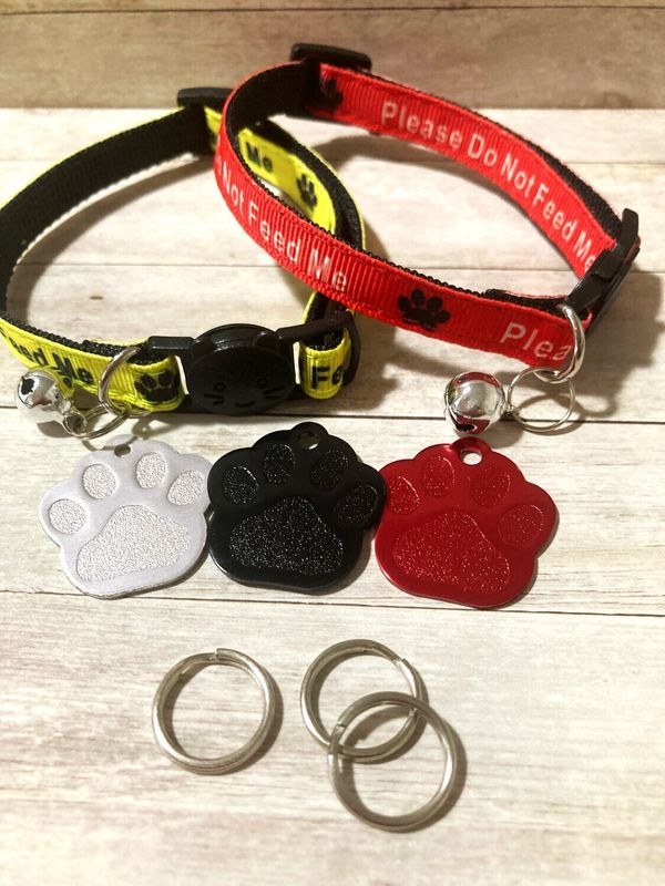Do Not Feed Tag & Collar Combo