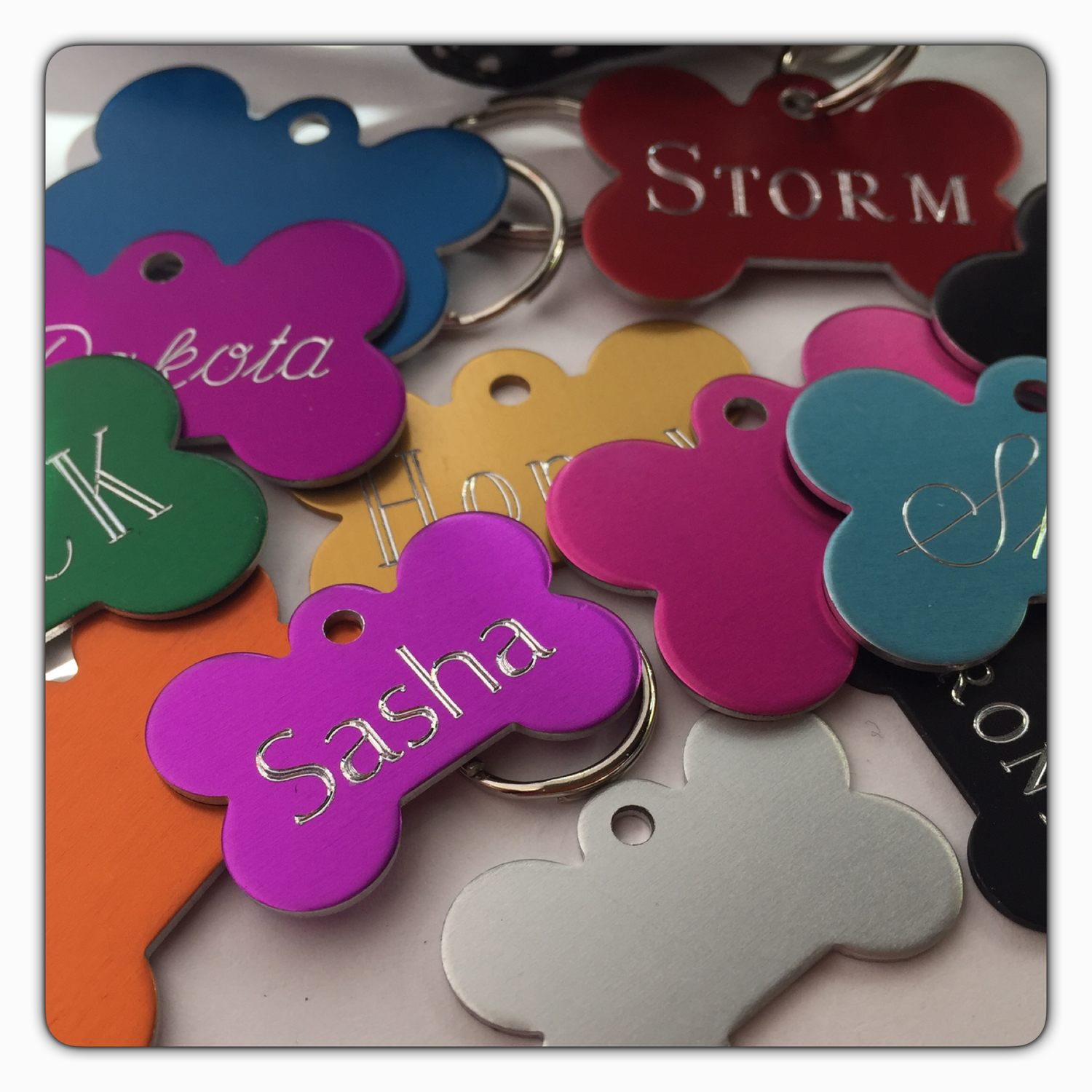 Classic Bone Tag - 10 Colour choices