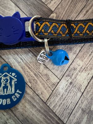 Indoor CAT Deluxe Tag & Collar Combo Indoor CAT Deluxe Tag & Collar Combo