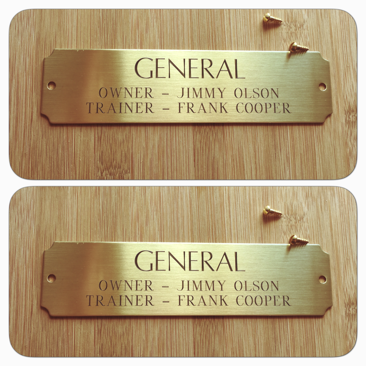 Stall/Stable brass plate