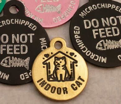 Cat Tags from £3.99