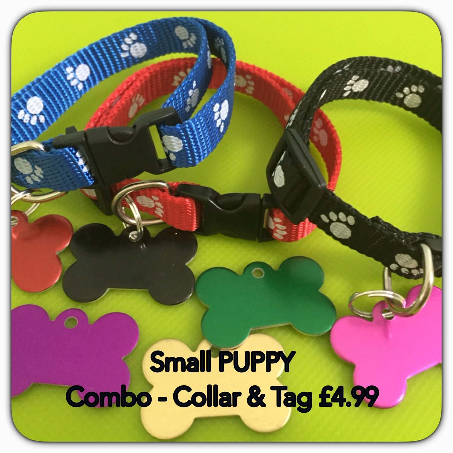 Tiny Puppy Paw Design Starter Collar/Tag Combo 