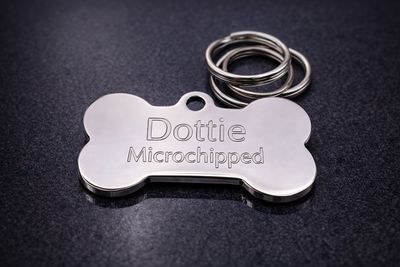 Polished Stainless Steel Medium Bone