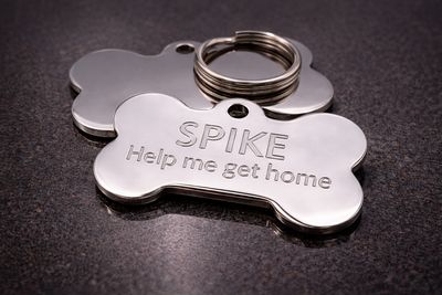Stainless Steel XL - Heavy Duty Bone Dog Pet Tag