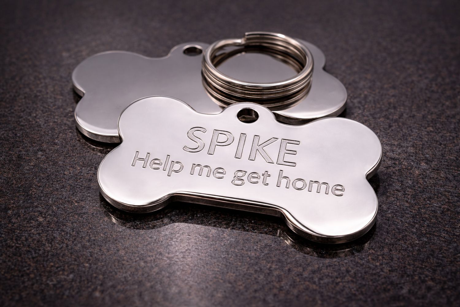 Stainless Steel XL - Heavy Duty Bone Dog Pet Tag