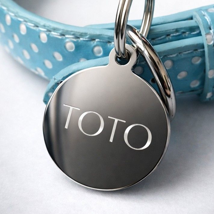 Polished Stainless Steel Circle Dog Pet Tag - 3 Sizes