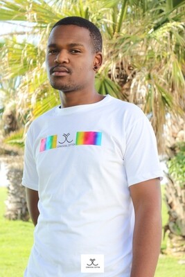 Monochrome Rainbow Tees