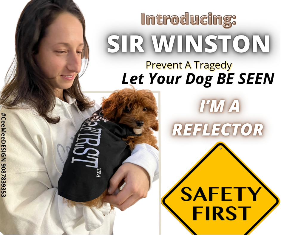 Reflector Doggie T-Shirt