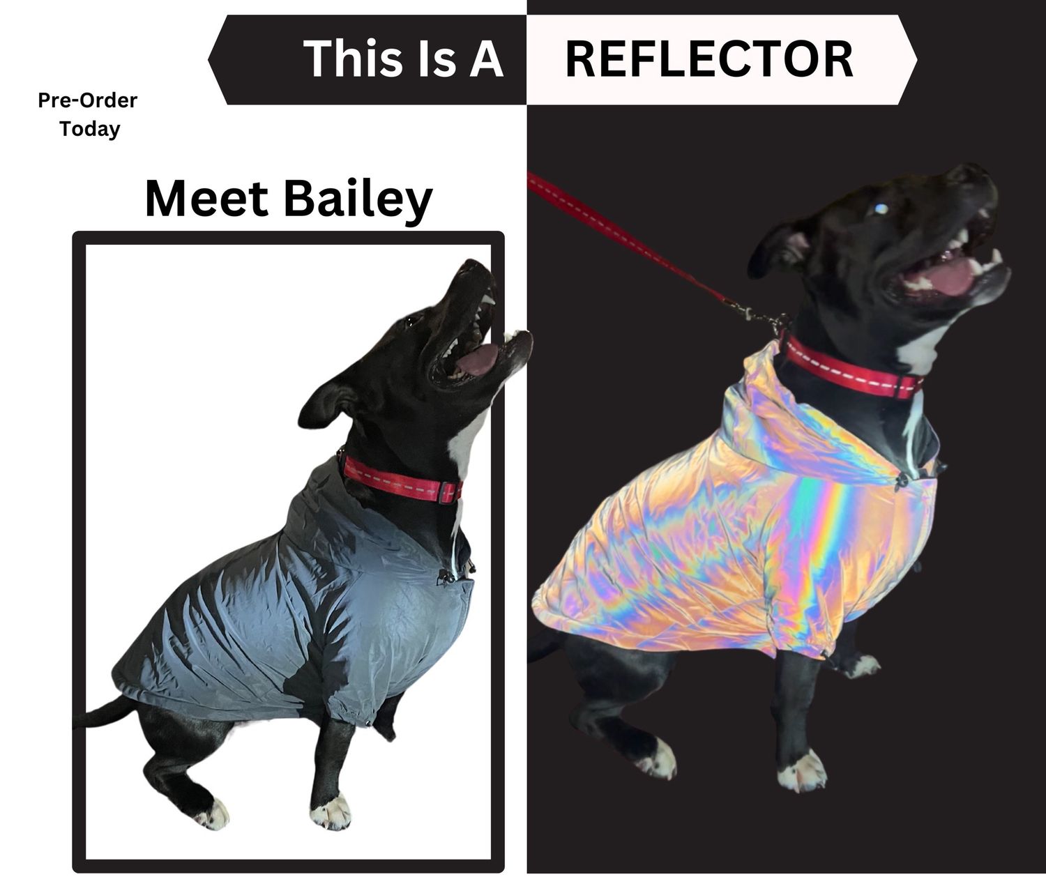 Pre-Order-Doggie REFLECTOR Jacket
