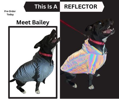 Pre-Order-Doggie REFLECTOR Jacket