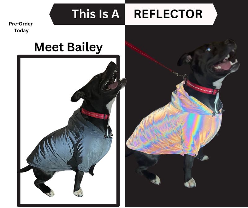 Pre-Order-Doggie REFLECTOR Jacket