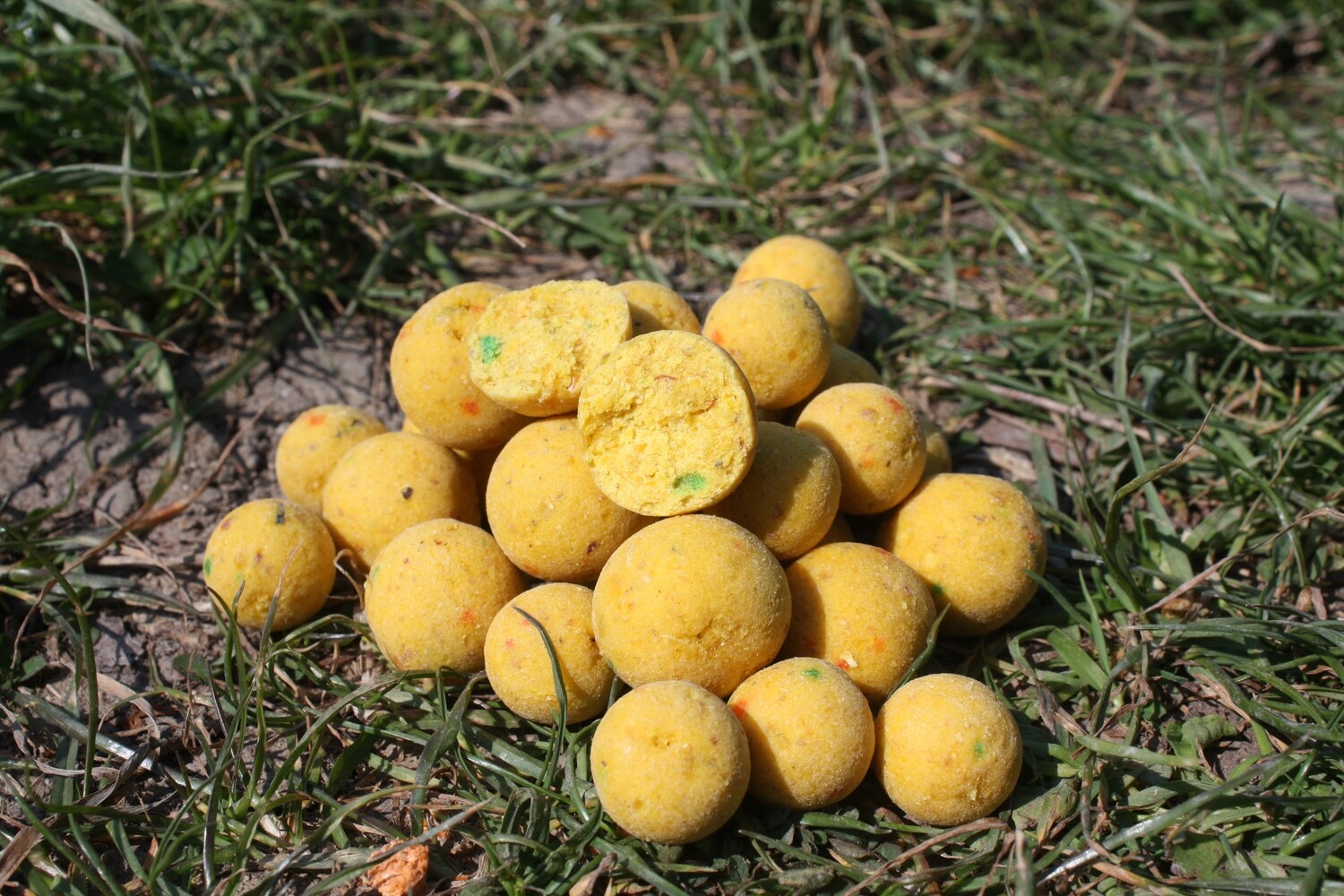 Mûre Ananas
