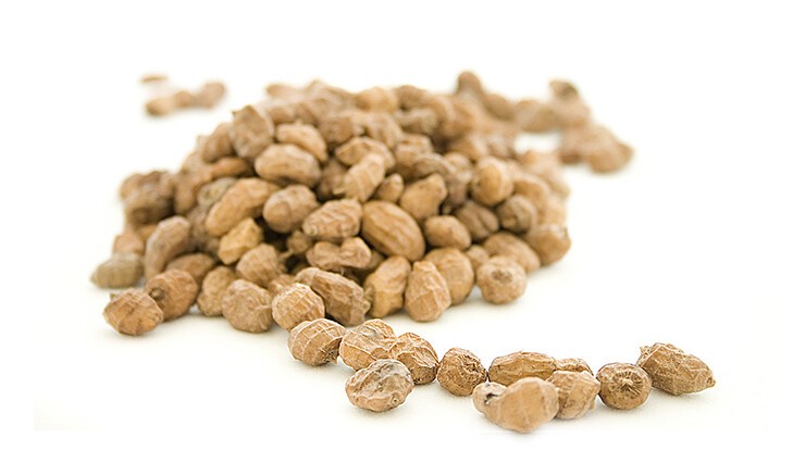 TIGERNUTS STANDARD 8mm-11mm
