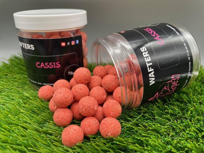 CASSIS