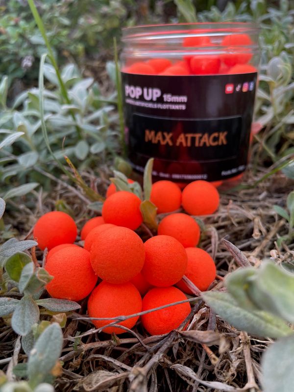 MAX ATTACK