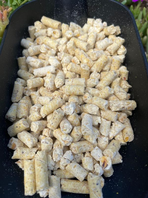 Baby Corn