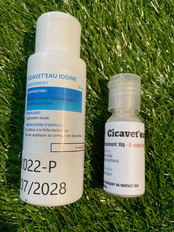 CICAVET