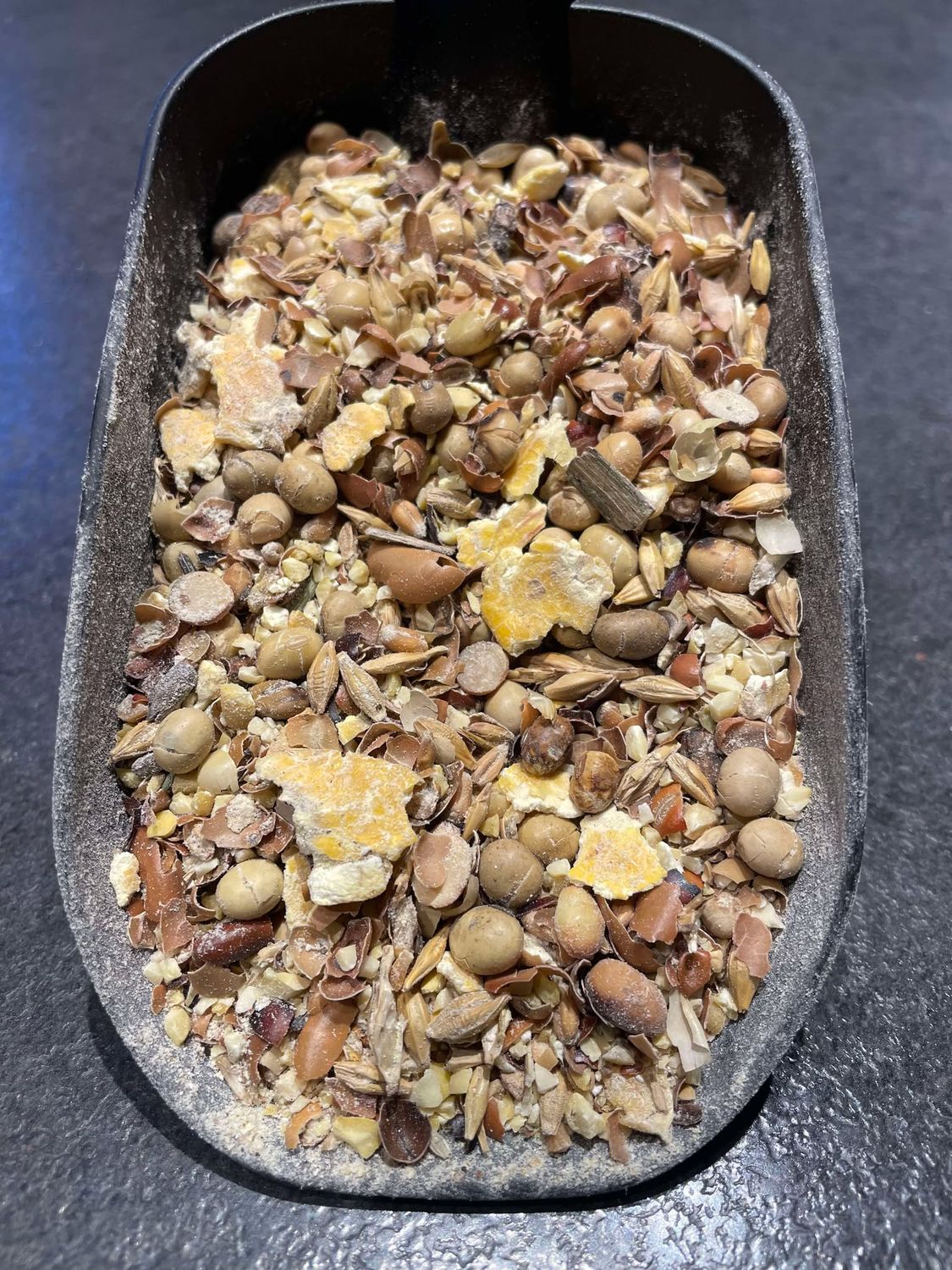 Graines Toastées 25 kgs