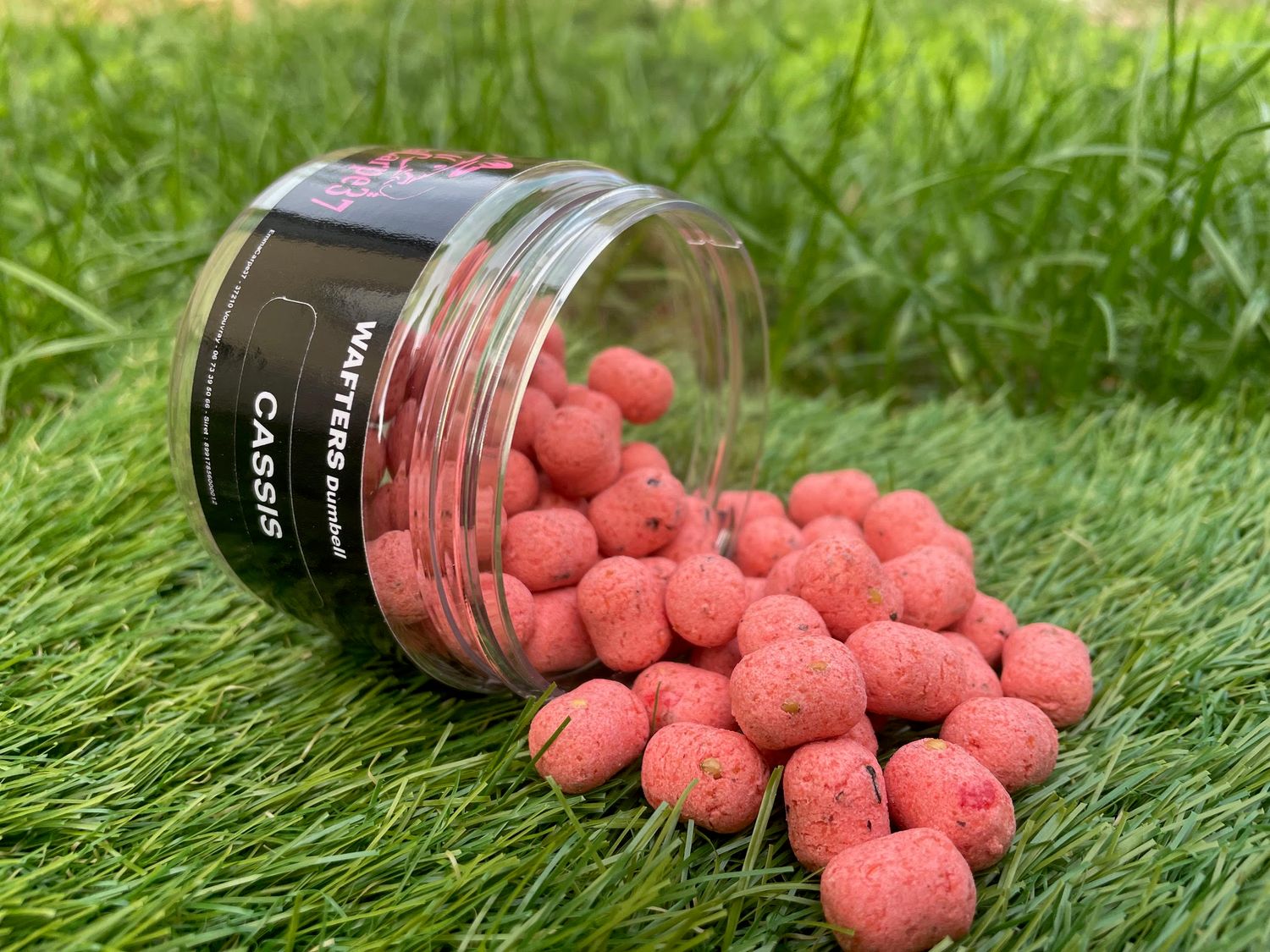 Wafters Dumbell Cassis