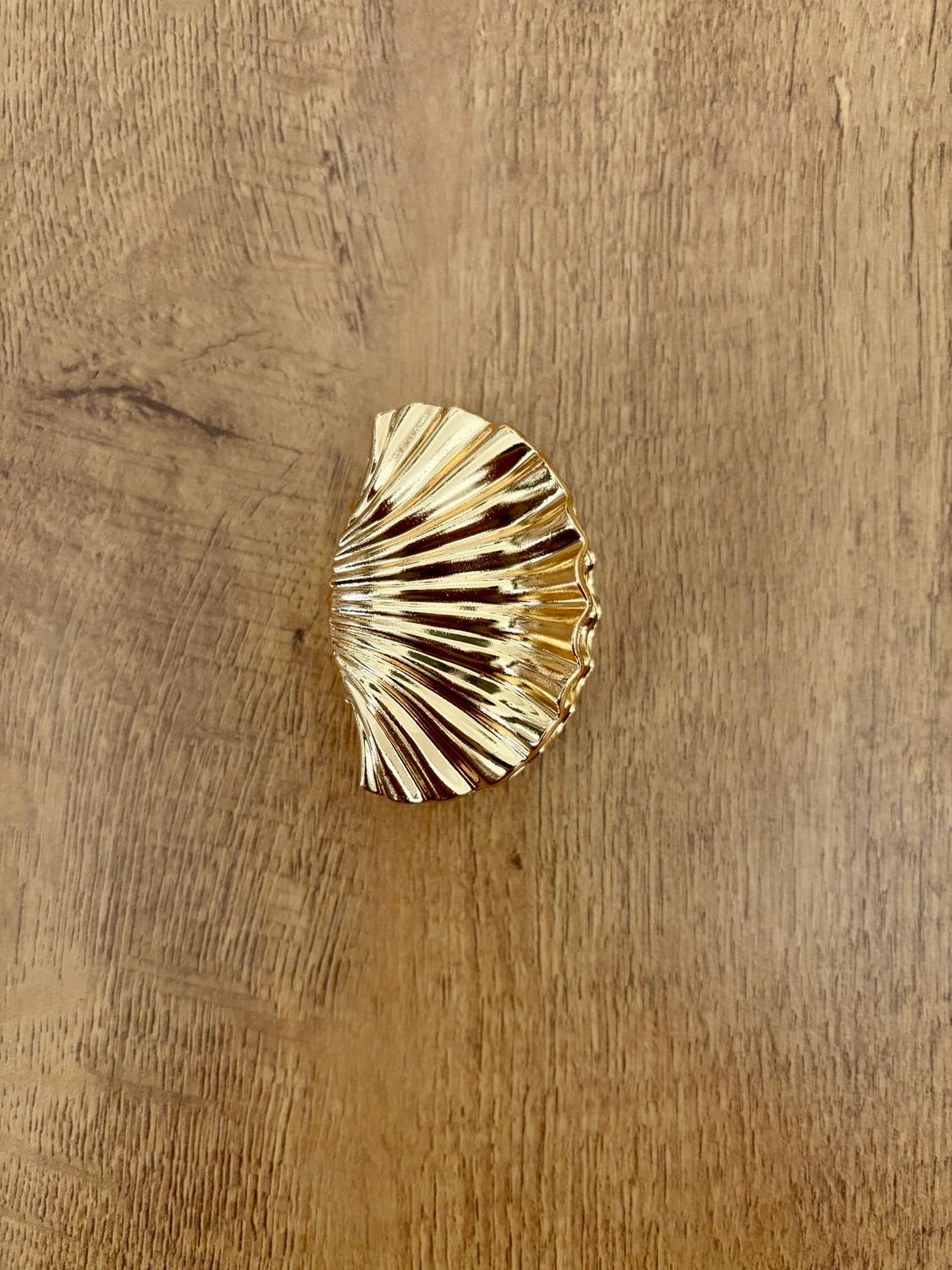 Shell Claw Clip