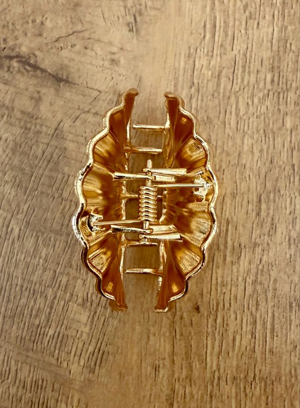 Shell Claw Clip