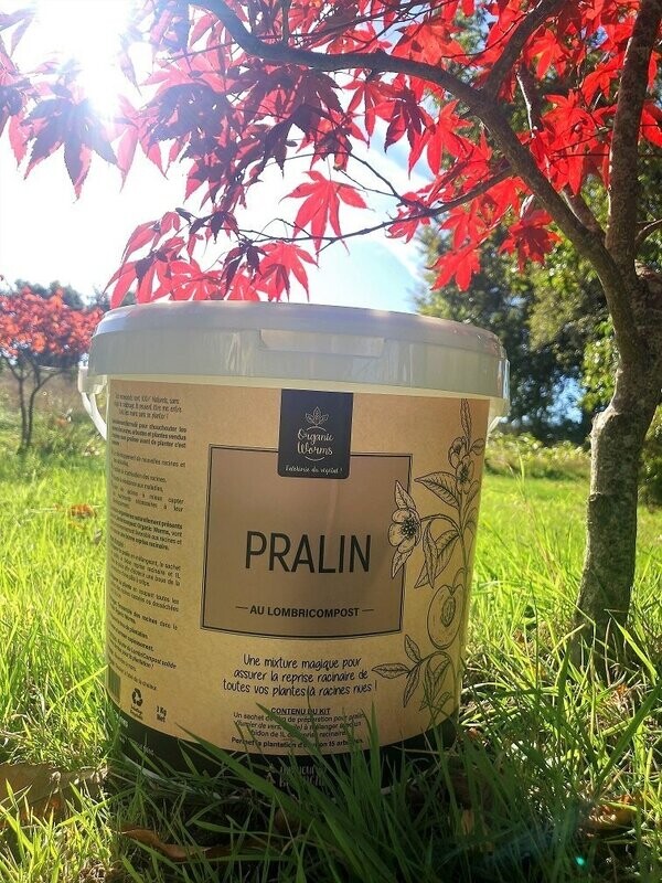 Pralin