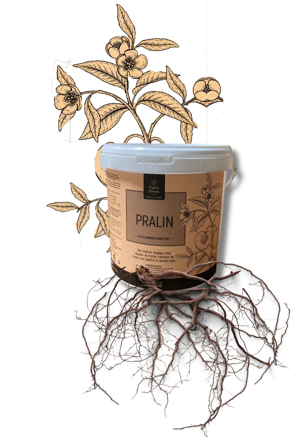 Pralin | 2Kg Pralin | 2Kg