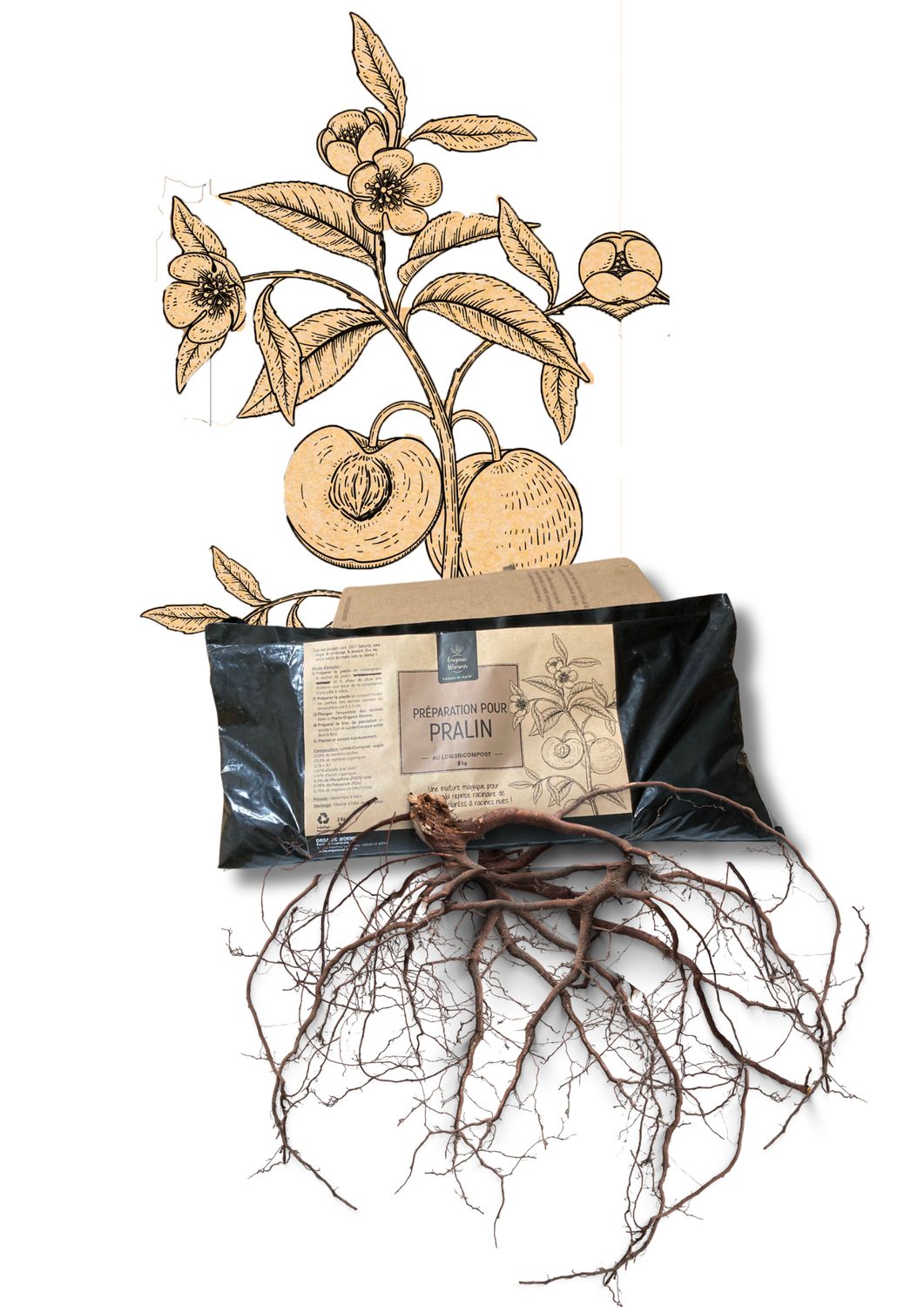 Pralin | 1Kg Pralin | 1Kg