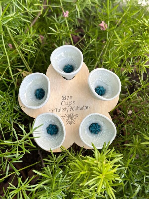 Bee Cups- Bee Vision Agave