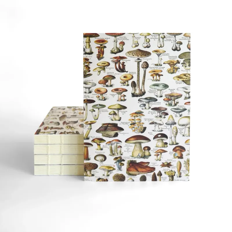 Vintage Mushroom Notebook