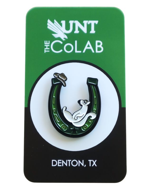 Lucky Horseshoe Pin