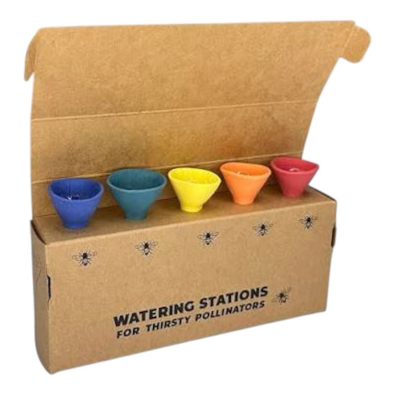 Bee Cups - Bee Bold 5-Pack