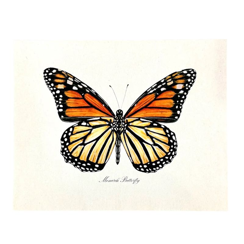 Monarch Butterfly Watercolor Vintage Art Print Nature Art - 8x10"