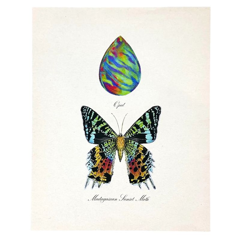 Opal + Sunset Moth Art Print Nature Art Vintage Style - 8x10"