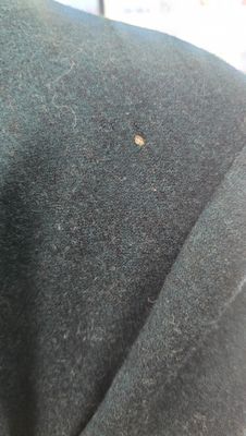 Vintage Evan Picone Wool Blazer