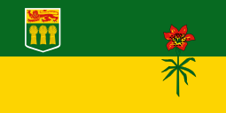 SK Flag 3' x 6' Outdoor Standard