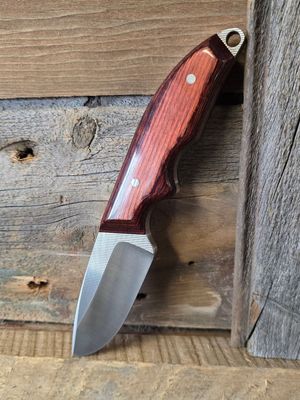 Pintail