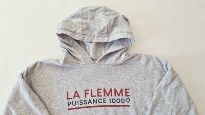 KIABI - sweat gris chiné La flemme - 18 ans