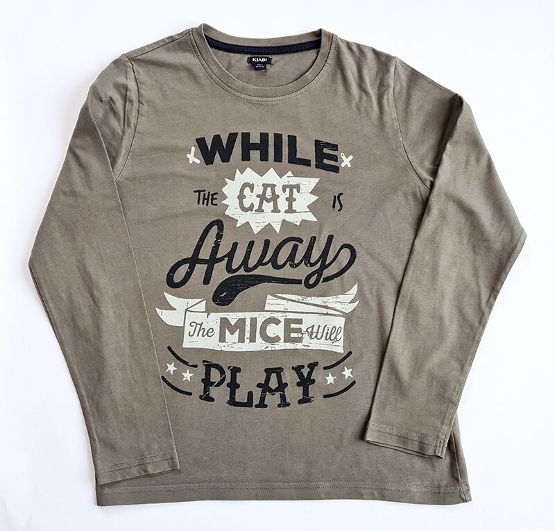 KIABI - Tee shirt ML gris While the cat - 10 ans +