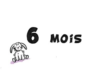 6 mois