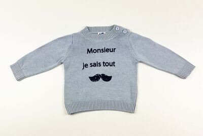 MOTS D'ENFANTS - Pull gris Monsieur je sais tout - 3 mois